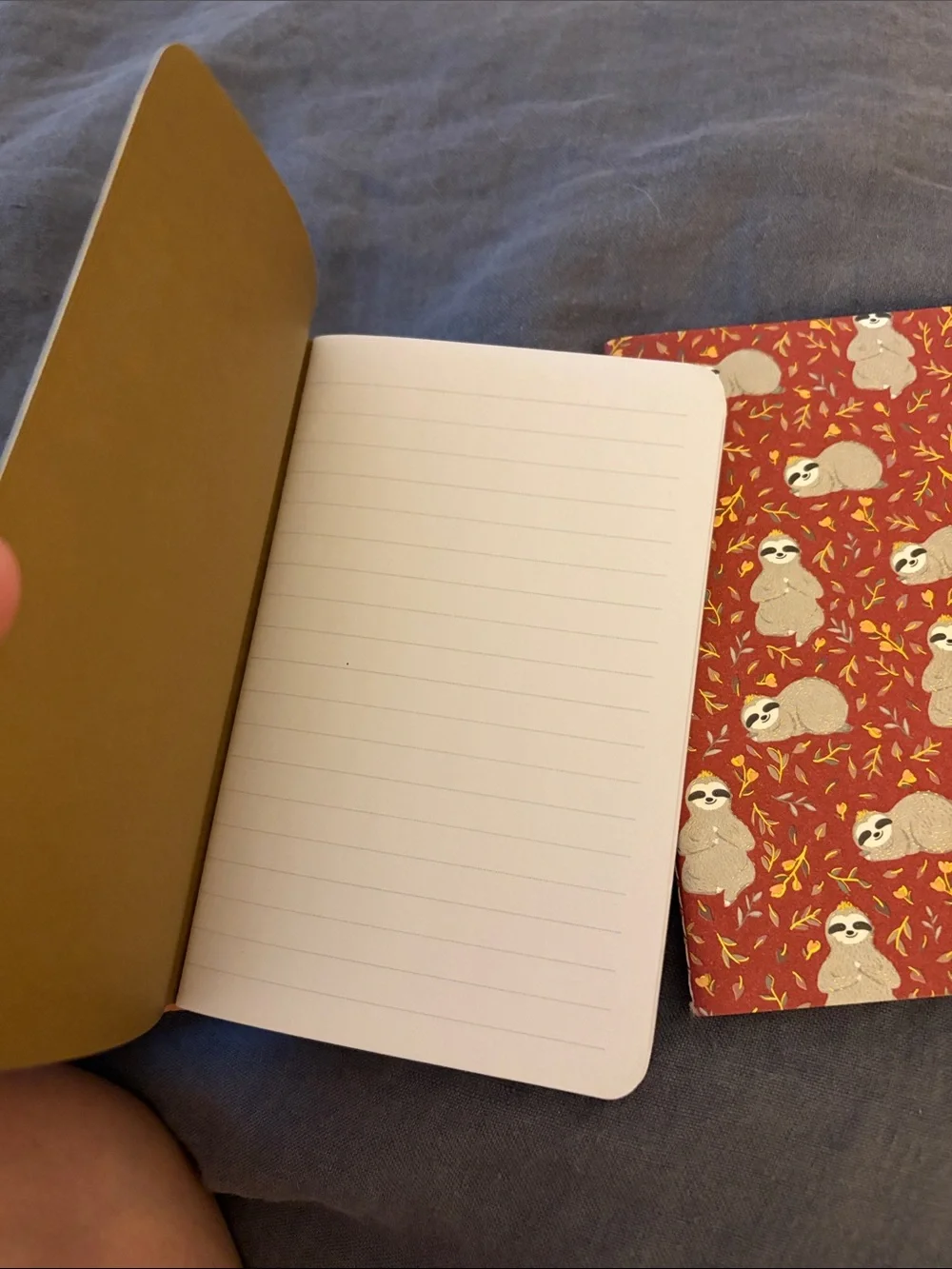 Jotter Sloth Mini Notebooks - set of 2